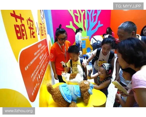 2978飞禽走兽金鲨银鲨游戏中的隐藏技巧揭秘帮助玩家发现不为人知的获胜秘籍