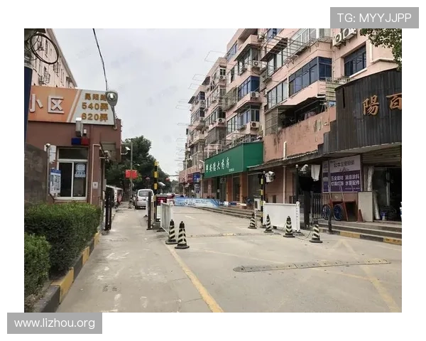 上海三公学校校区分布与交通便利性全面评估方便学生家长合理规划出行